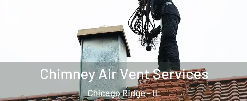  Chimney Air Vent Services Chicago Ridge - IL