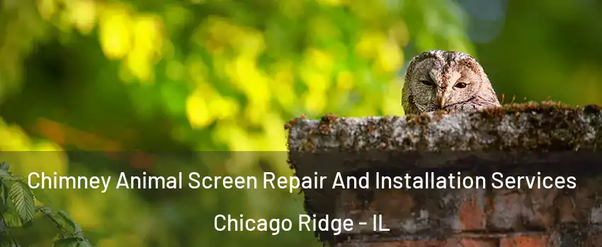  Chimney Animal Screen Repair And Installation Services Chicago Ridge - IL