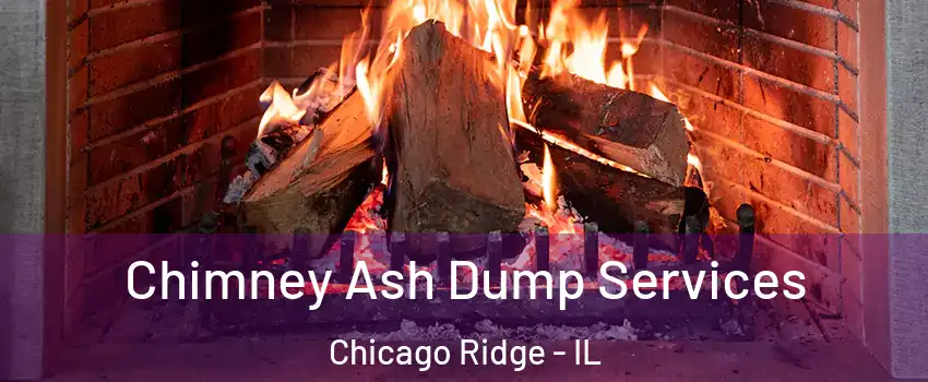  Chimney Ash Dump Services Chicago Ridge - IL