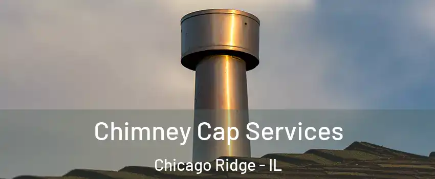  Chimney Cap Services Chicago Ridge - IL