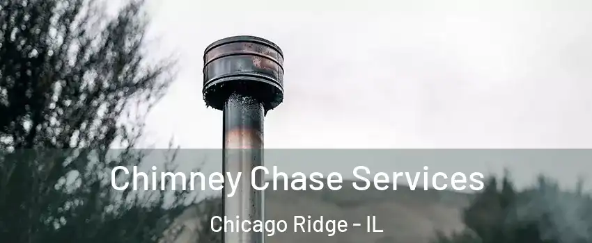  Chimney Chase Services Chicago Ridge - IL