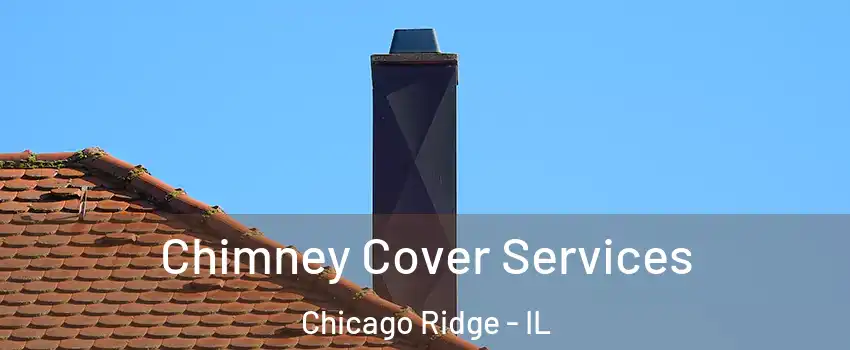  Chimney Cover Services Chicago Ridge - IL