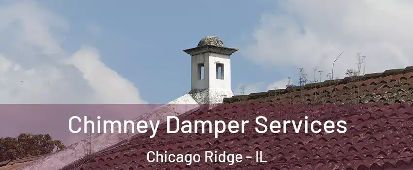  Chimney Damper Services Chicago Ridge - IL