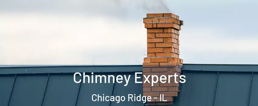  Chimney Experts Chicago Ridge - IL