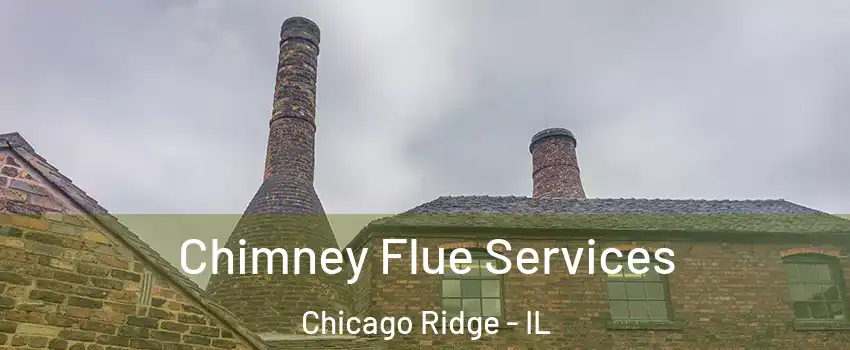  Chimney Flue Services Chicago Ridge - IL