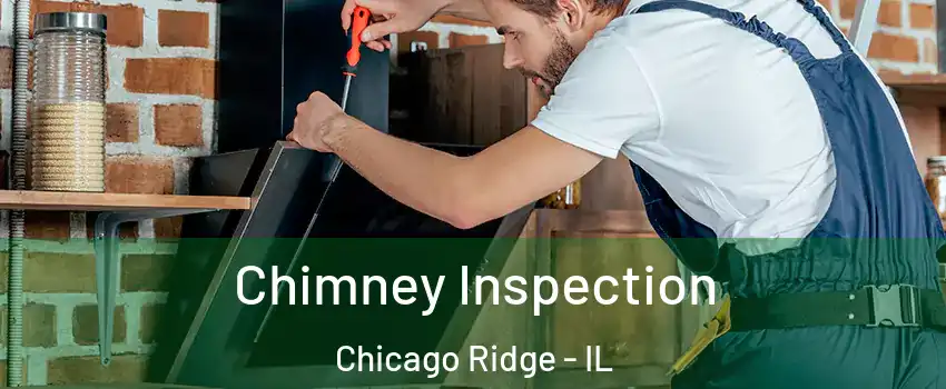  Chimney Inspection Chicago Ridge - IL