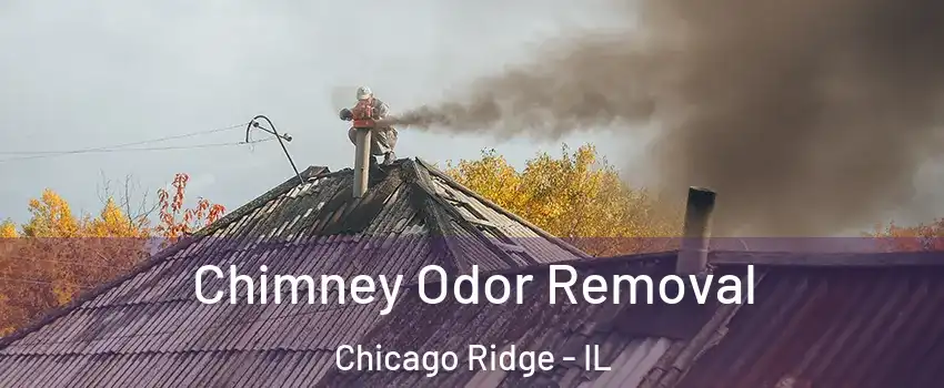  Chimney Odor Removal Chicago Ridge - IL