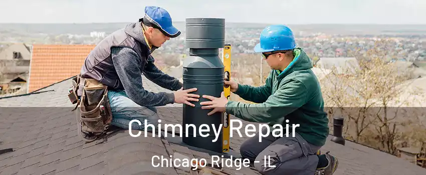 Chimney Repair Chicago Ridge - IL