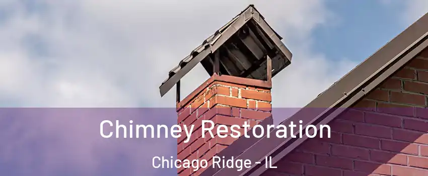  Chimney Restoration Chicago Ridge - IL
