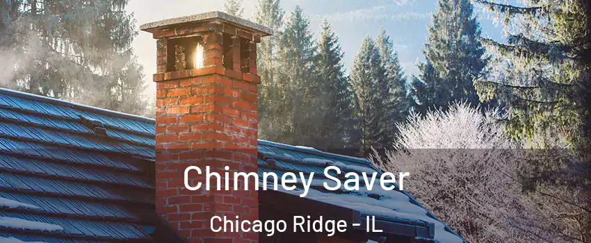  Chimney Saver Chicago Ridge - IL