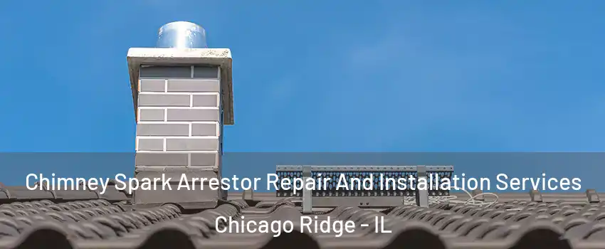  Chimney Spark Arrestor Repair And Installation Services Chicago Ridge - IL
