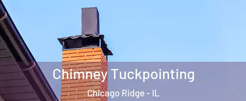  Chimney Tuckpointing Chicago Ridge - IL