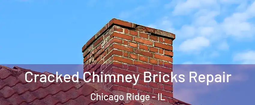  Cracked Chimney Bricks Repair Chicago Ridge - IL