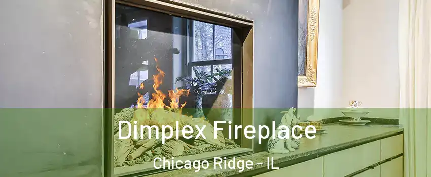  Dimplex Fireplace Chicago Ridge - IL