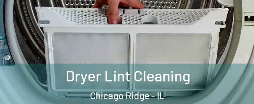  Dryer Lint Cleaning Chicago Ridge - IL