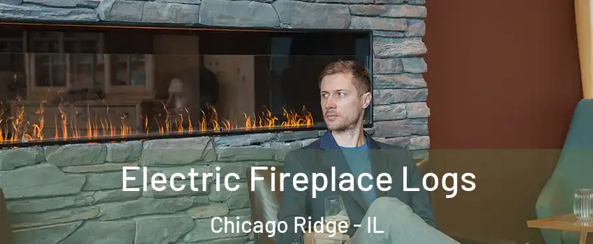  Electric Fireplace Logs Chicago Ridge - IL