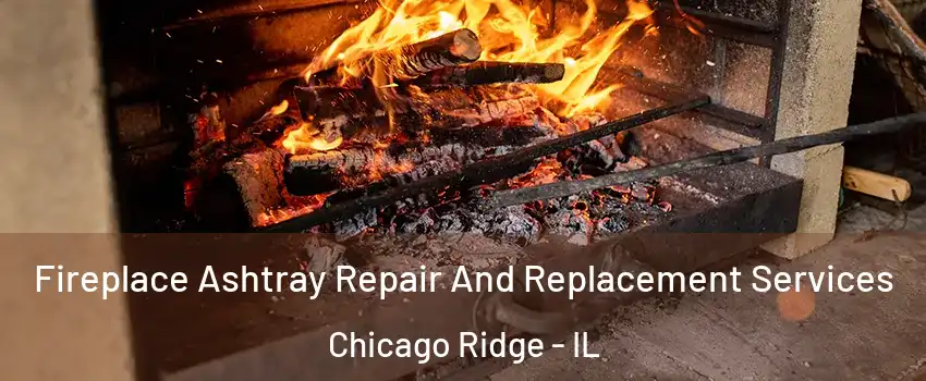  Fireplace Ashtray Repair And Replacement Services Chicago Ridge - IL