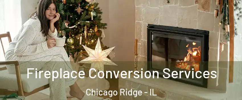  Fireplace Conversion Services Chicago Ridge - IL