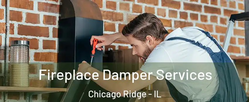  Fireplace Damper Services Chicago Ridge - IL