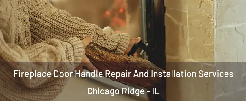  Fireplace Door Handle Repair And Installation Services Chicago Ridge - IL