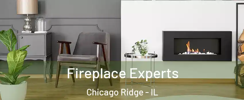  Fireplace Experts Chicago Ridge - IL