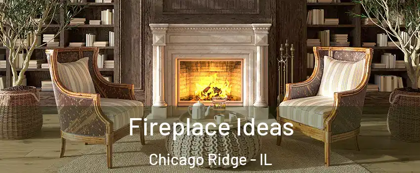  Fireplace Ideas Chicago Ridge - IL