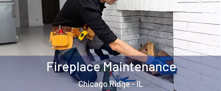  Fireplace Maintenance Chicago Ridge - IL