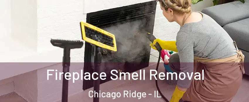  Fireplace Smell Removal Chicago Ridge - IL