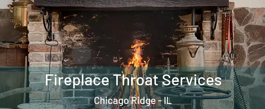  Fireplace Throat Services Chicago Ridge - IL