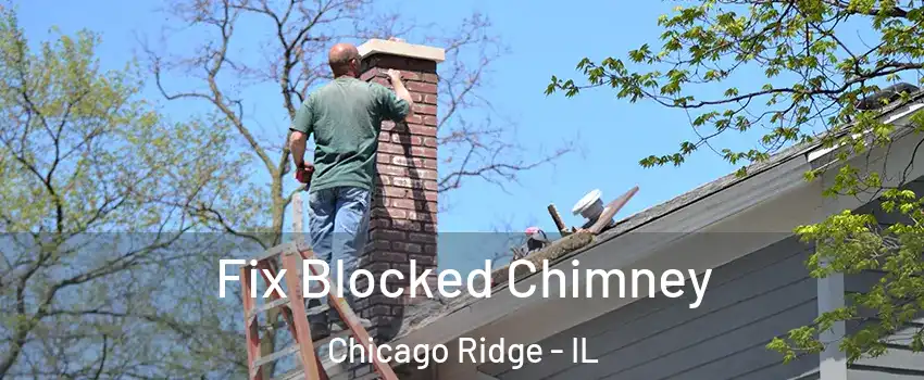  Fix Blocked Chimney Chicago Ridge - IL