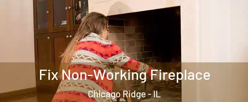  Fix Non-Working Fireplace Chicago Ridge - IL