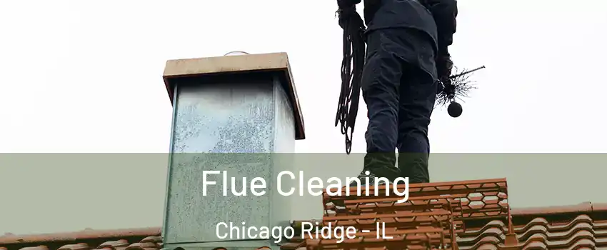  Flue Cleaning Chicago Ridge - IL