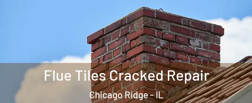  Flue Tiles Cracked Repair Chicago Ridge - IL