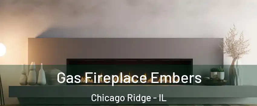  Gas Fireplace Embers Chicago Ridge - IL