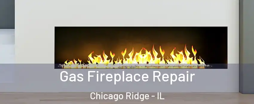  Gas Fireplace Repair Chicago Ridge - IL