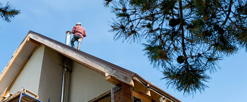 Birds Removal Contractors from Chimney in Chicago Ridge, IL