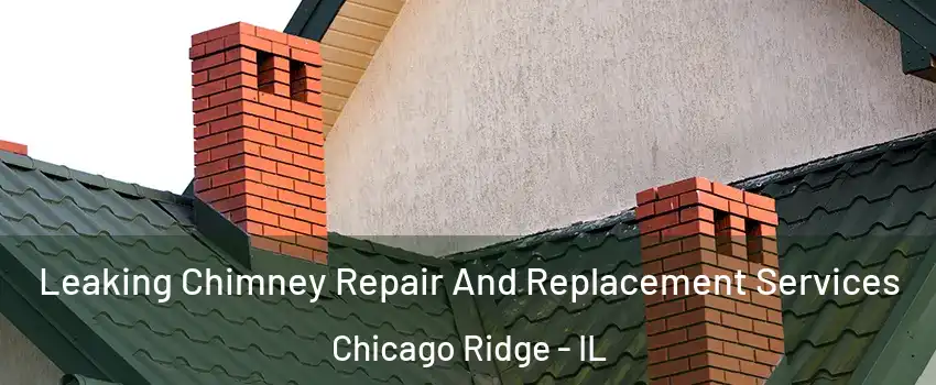  Leaking Chimney Repair And Replacement Services Chicago Ridge - IL