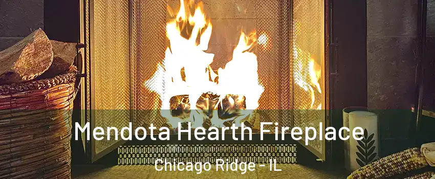  Mendota Hearth Fireplace Chicago Ridge - IL