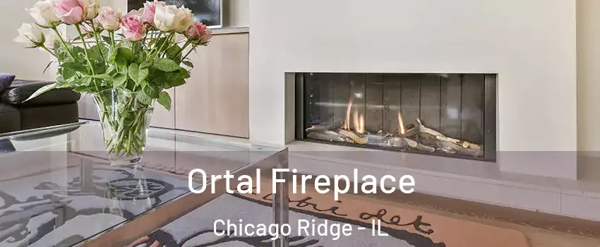  Ortal Fireplace Chicago Ridge - IL