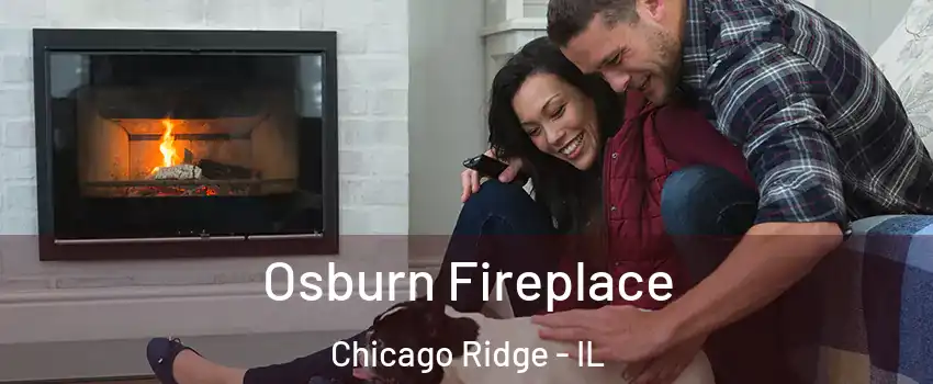  Osburn Fireplace Chicago Ridge - IL