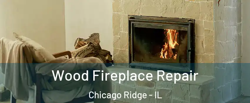  Wood Fireplace Repair Chicago Ridge - IL